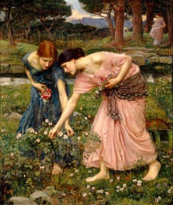 gathering rosebuds