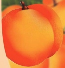 peach