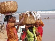 puri beach