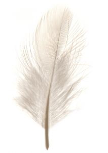 white feather